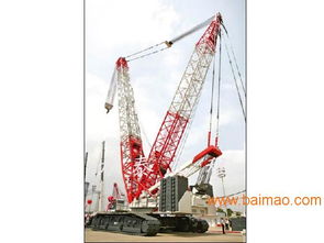 山東優質履帶吊出租服務與園林景觀工程設計方案