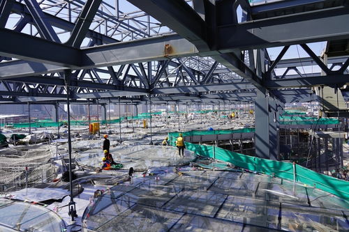 進入歷史重大工程投資強度最高年，上海加大推進力度的三種路徑