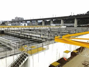 污水處理廠提標擴建工程建成投用，延期半年終迎收獲